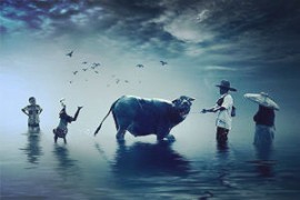 揭秘办理营业执照费用，财税专家教你如何省钱！注册公司办理营业执照需要多少钱